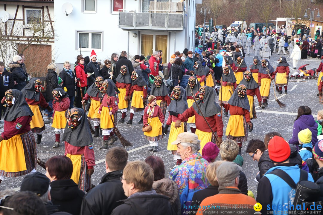 Narrensprung: Hasenweiler am Bodensee, 12.01.2014