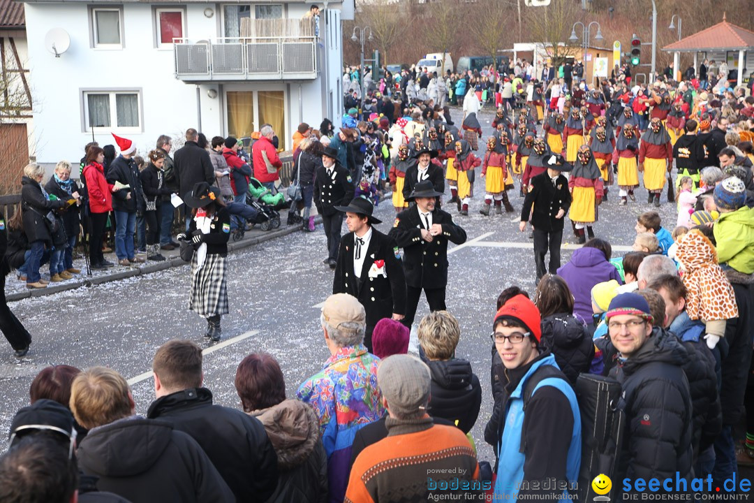 Narrensprung: Hasenweiler am Bodensee, 12.01.2014