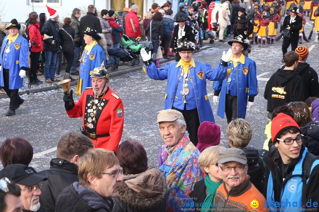 Narrensprung: Hasenweiler am Bodensee, 12.01.2014