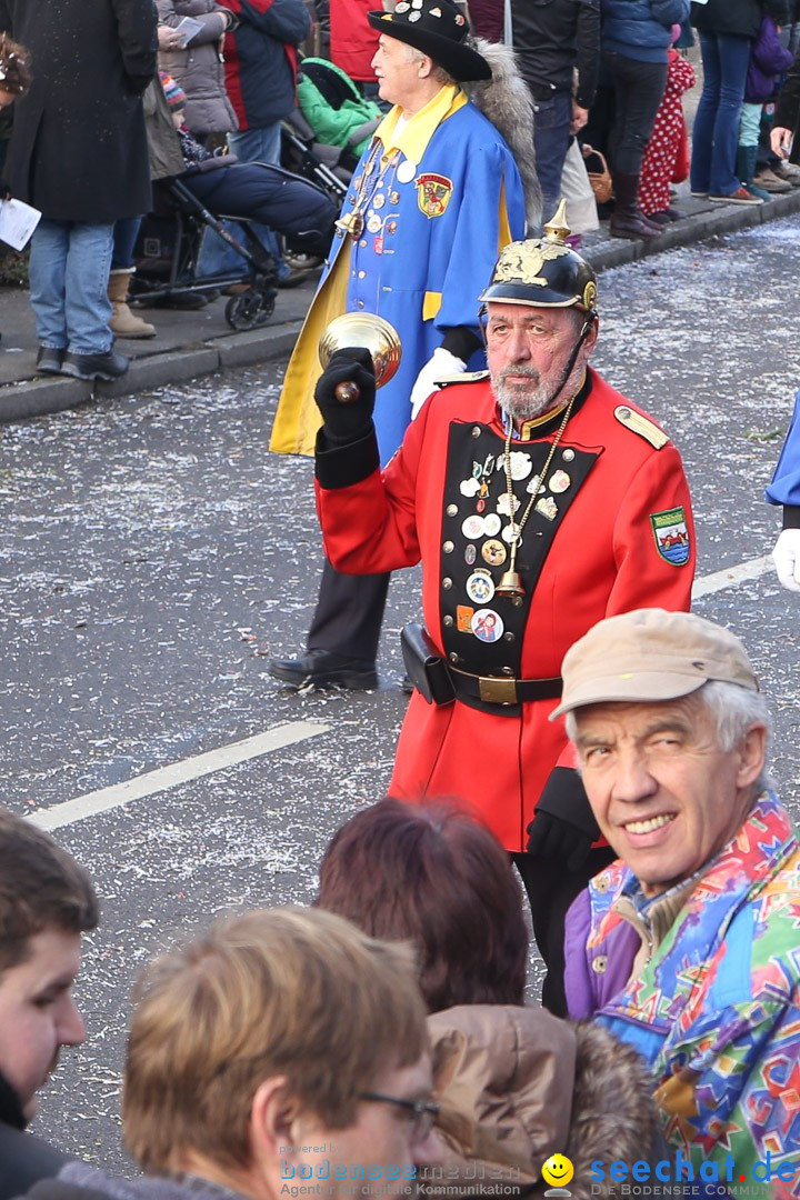 Narrensprung: Hasenweiler am Bodensee, 12.01.2014