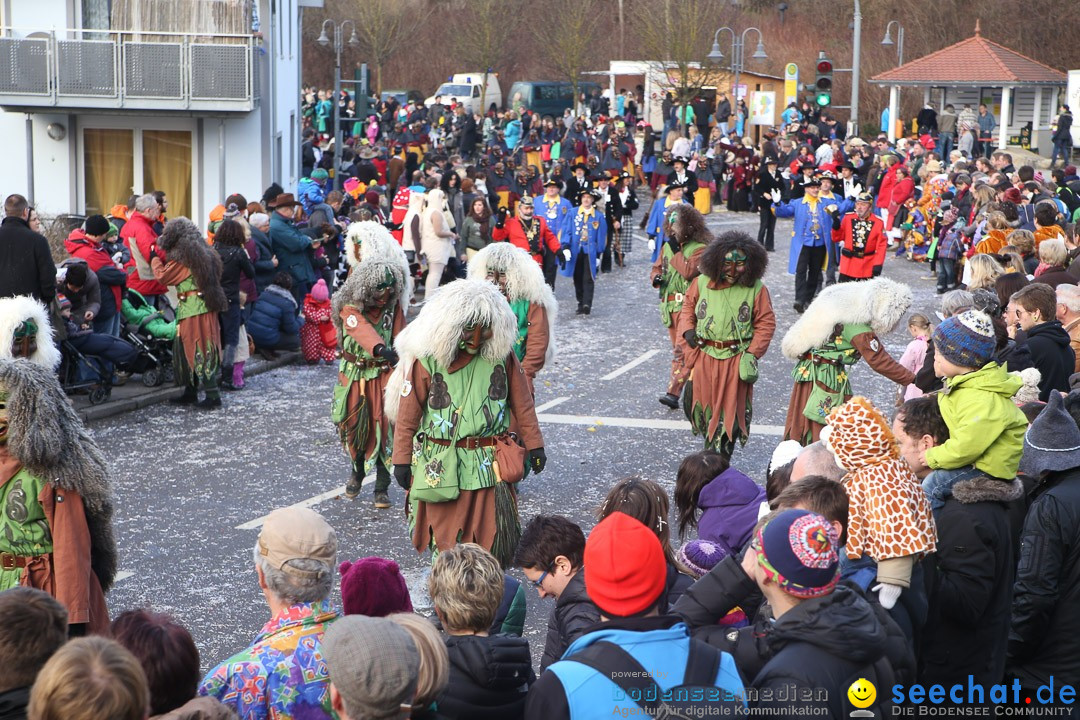 Narrensprung: Hasenweiler am Bodensee, 12.01.2014