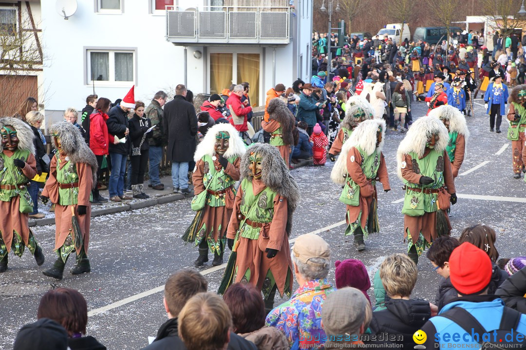 Narrensprung: Hasenweiler am Bodensee, 12.01.2014