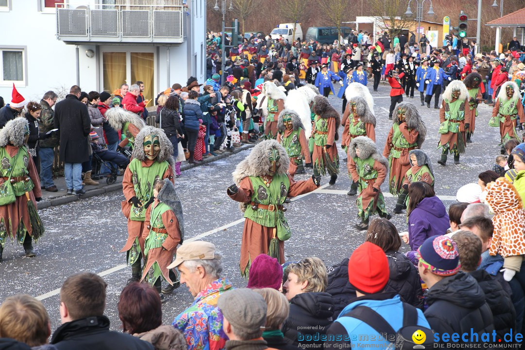 Narrensprung: Hasenweiler am Bodensee, 12.01.2014