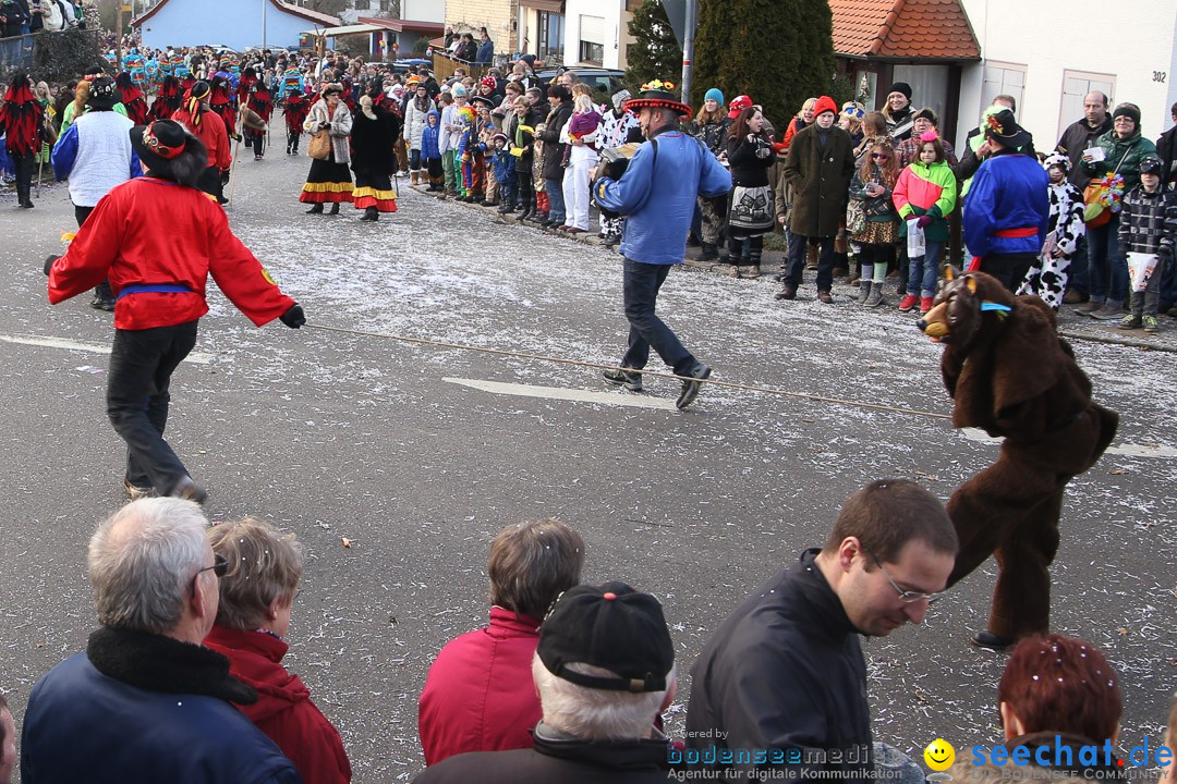 Narrensprung: Hasenweiler am Bodensee, 12.01.2014