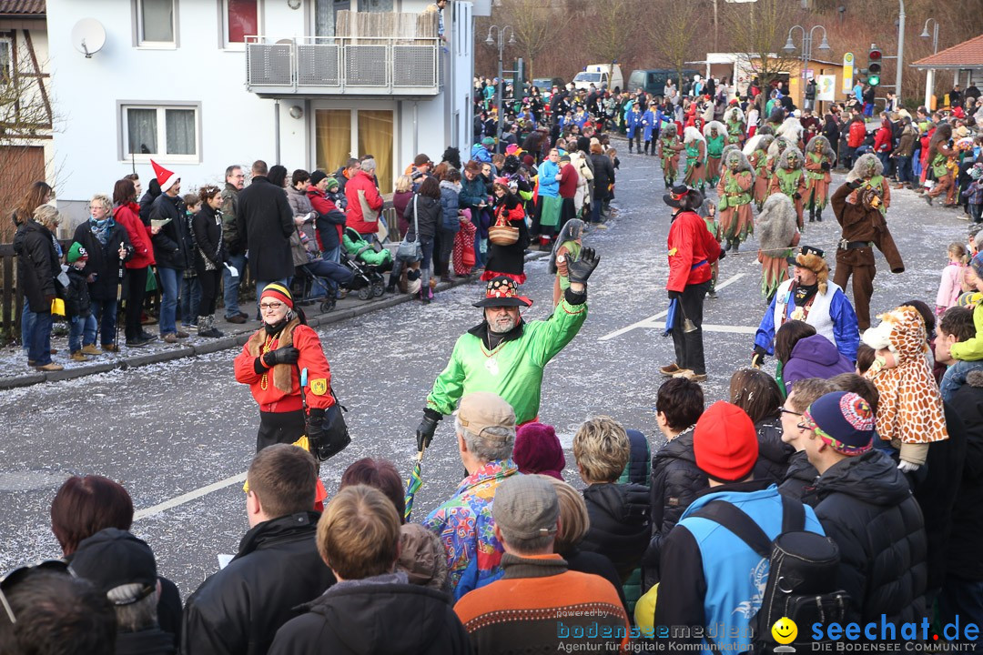 Narrensprung: Hasenweiler am Bodensee, 12.01.2014