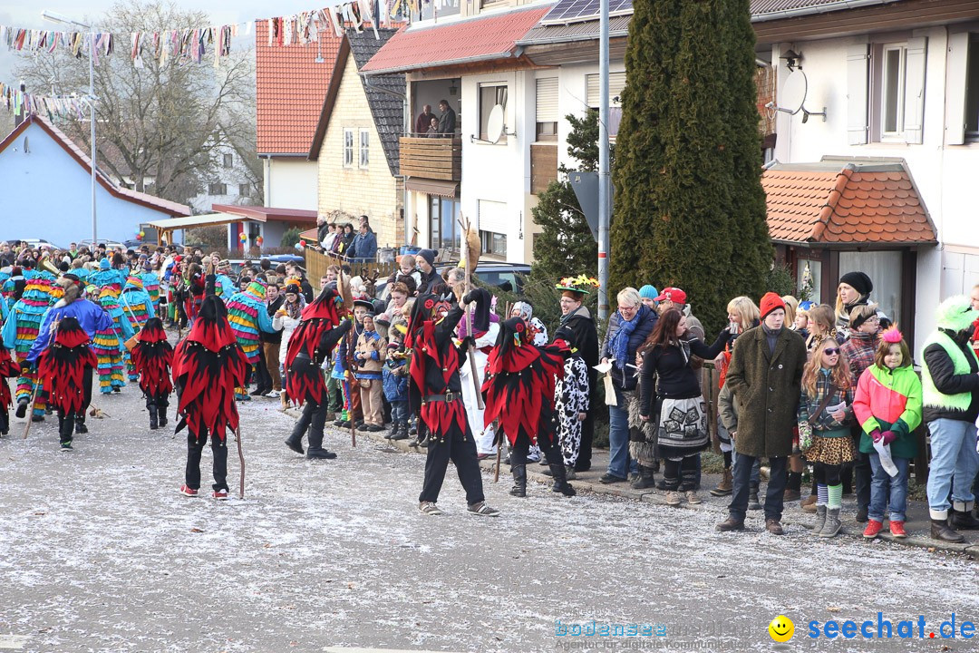 Narrensprung: Hasenweiler am Bodensee, 12.01.2014