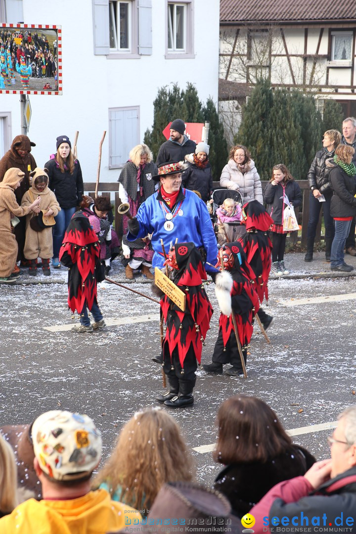 Narrensprung: Hasenweiler am Bodensee, 12.01.2014