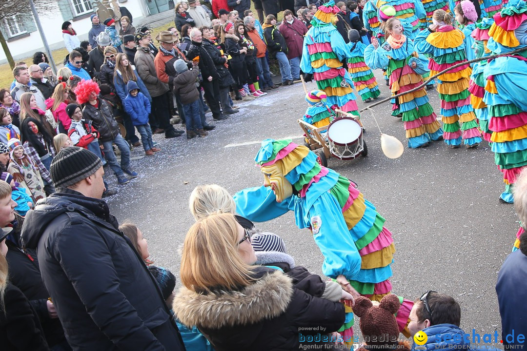 Narrensprung: Hasenweiler am Bodensee, 12.01.2014