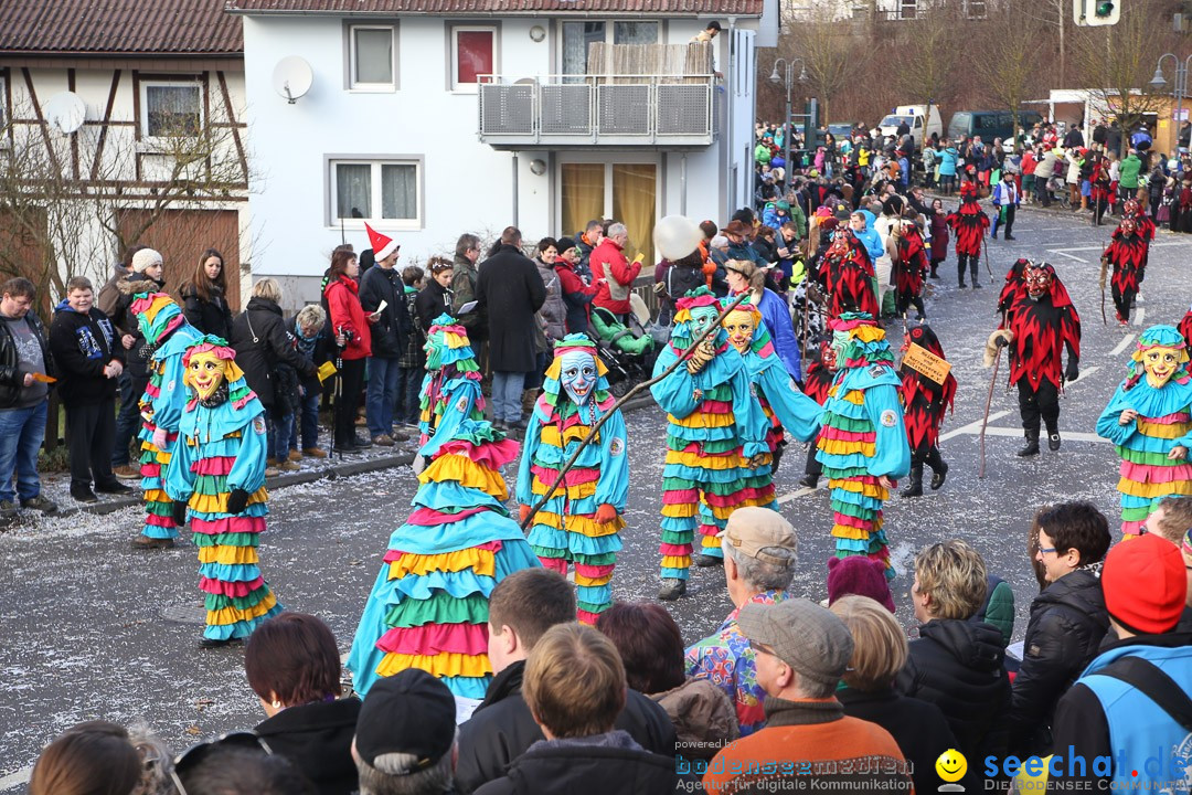 Narrensprung: Hasenweiler am Bodensee, 12.01.2014