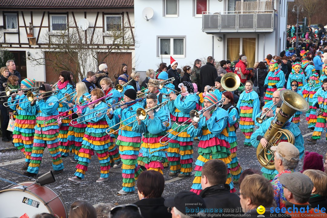 Narrensprung: Hasenweiler am Bodensee, 12.01.2014