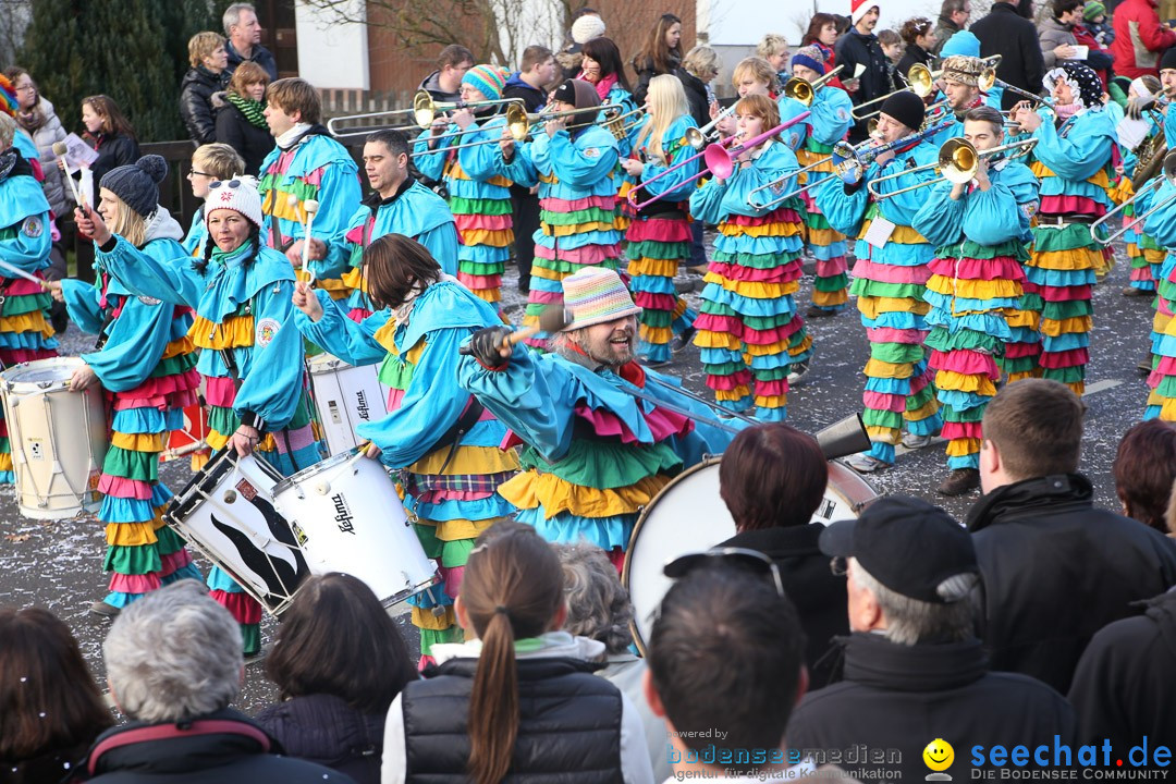 Narrensprung: Hasenweiler am Bodensee, 12.01.2014