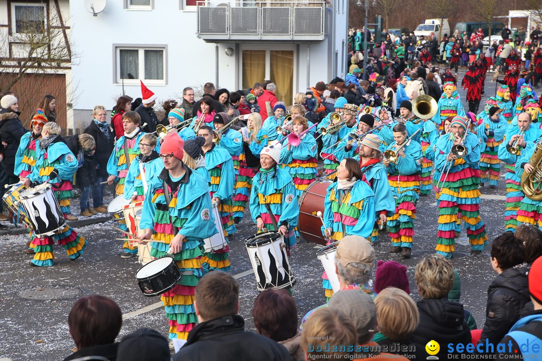 Narrensprung: Hasenweiler am Bodensee, 12.01.2014