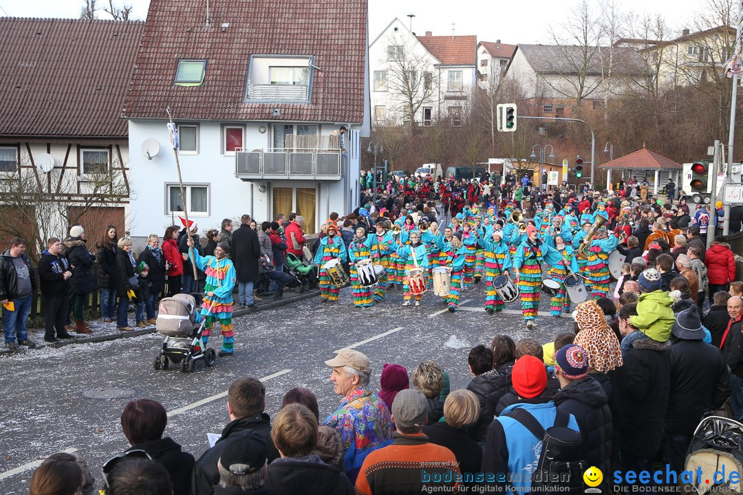 Narrensprung: Hasenweiler am Bodensee, 12.01.2014