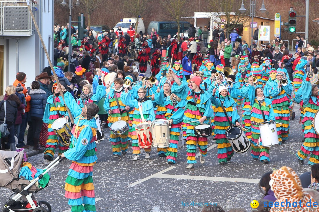 Narrensprung: Hasenweiler am Bodensee, 12.01.2014