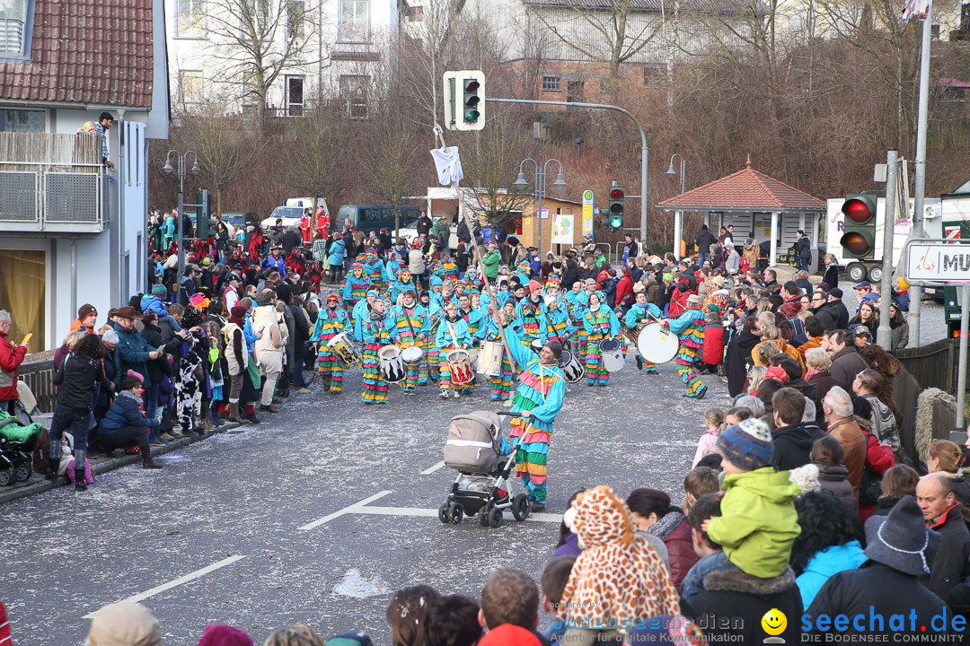 Narrensprung: Hasenweiler am Bodensee, 12.01.2014