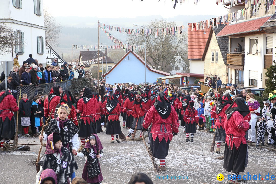 Narrensprung: Hasenweiler am Bodensee, 12.01.2014