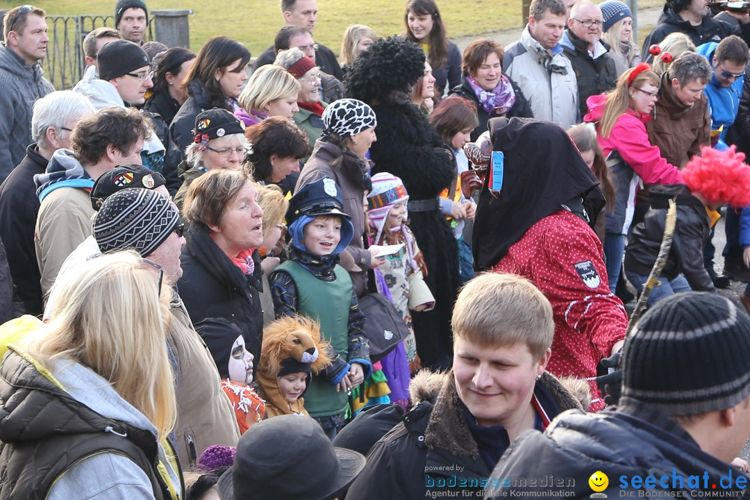 Narrensprung: Hasenweiler am Bodensee, 12.01.2014