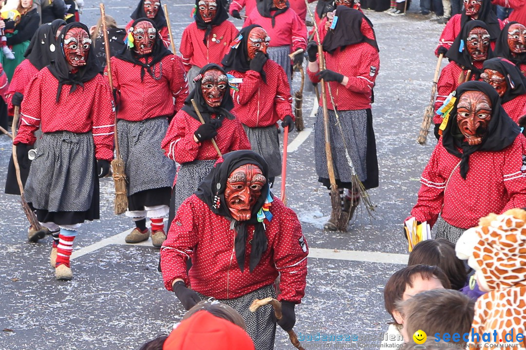 Narrensprung: Hasenweiler am Bodensee, 12.01.2014