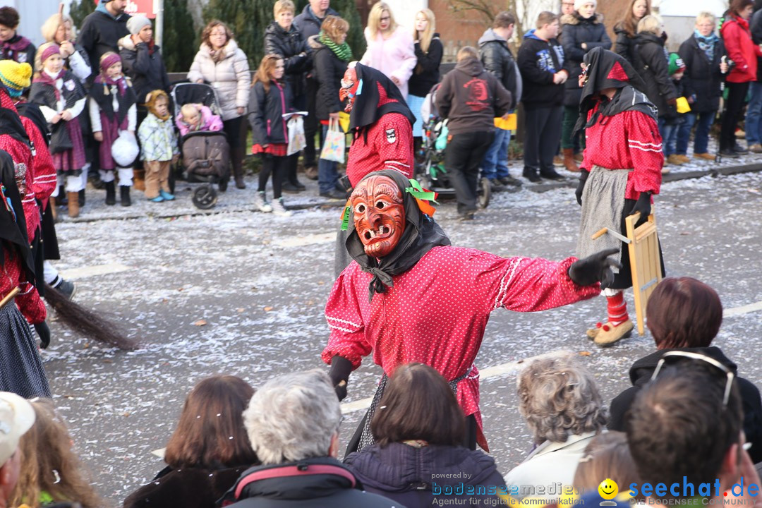 Narrensprung: Hasenweiler am Bodensee, 12.01.2014