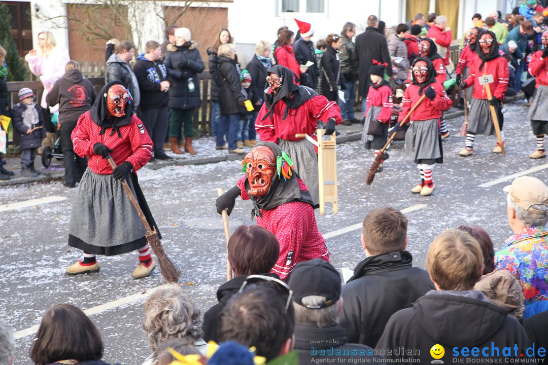 Narrensprung: Hasenweiler am Bodensee, 12.01.2014