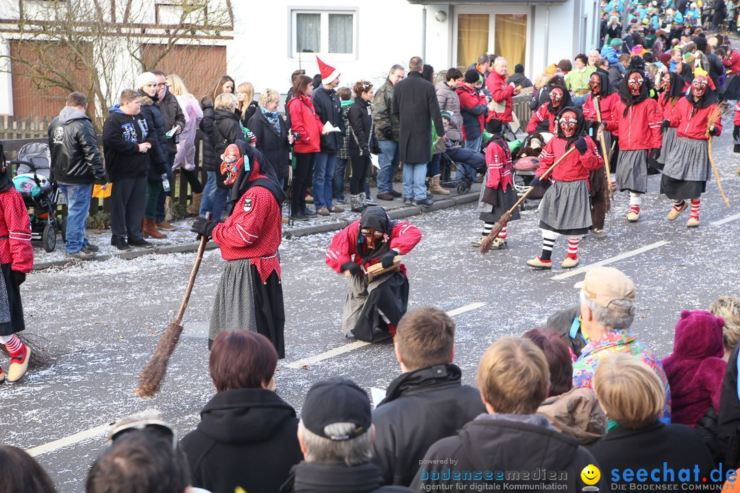 Narrensprung: Hasenweiler am Bodensee, 12.01.2014