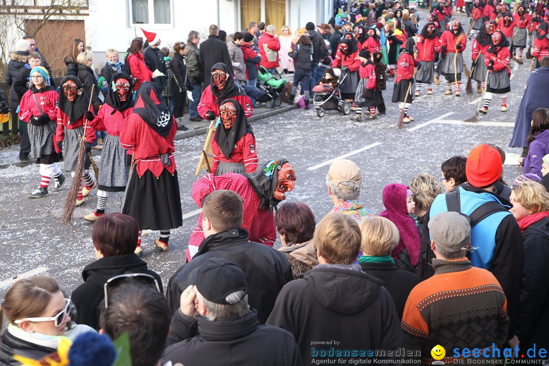 Narrensprung: Hasenweiler am Bodensee, 12.01.2014