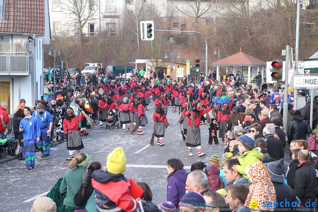 Narrensprung: Hasenweiler am Bodensee, 12.01.2014