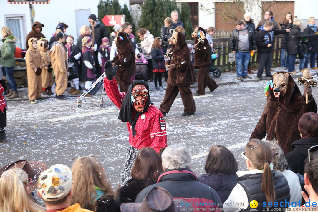 Narrensprung: Hasenweiler am Bodensee, 12.01.2014