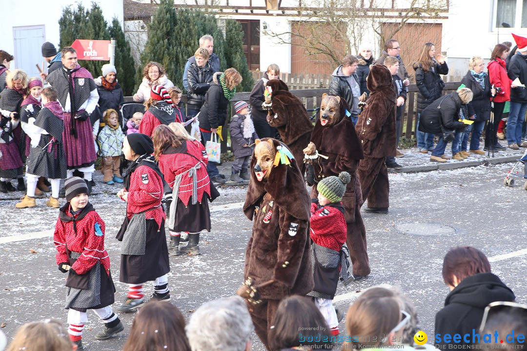 Narrensprung: Hasenweiler am Bodensee, 12.01.2014