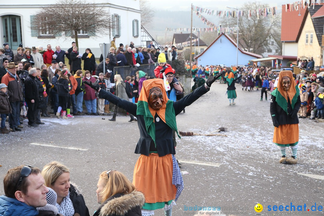 Narrensprung: Hasenweiler am Bodensee, 12.01.2014