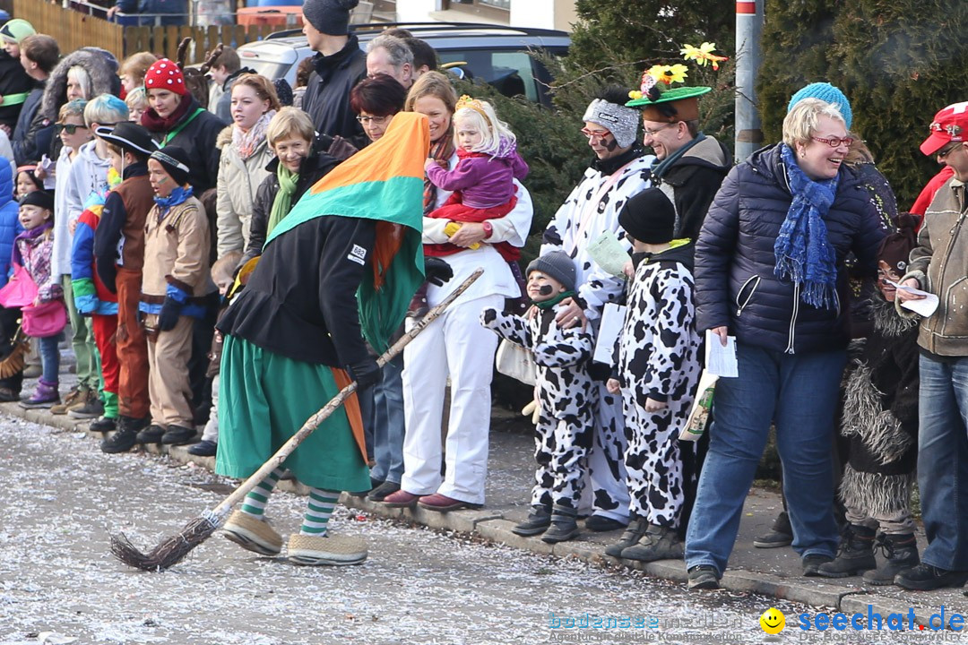 Narrensprung: Hasenweiler am Bodensee, 12.01.2014