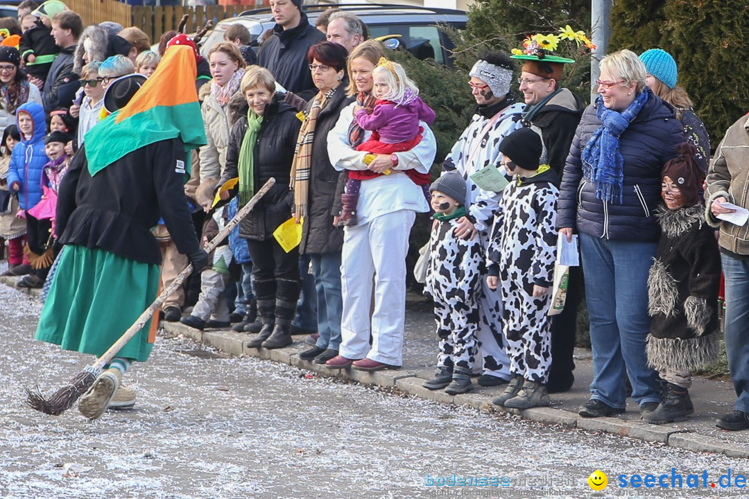 Narrensprung: Hasenweiler am Bodensee, 12.01.2014