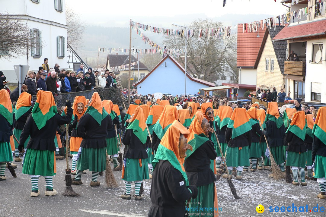 Narrensprung: Hasenweiler am Bodensee, 12.01.2014