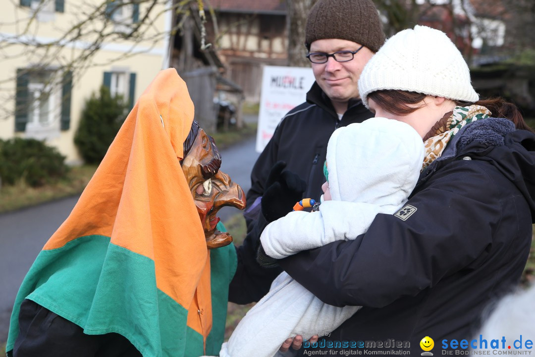 Narrensprung: Hasenweiler am Bodensee, 12.01.2014