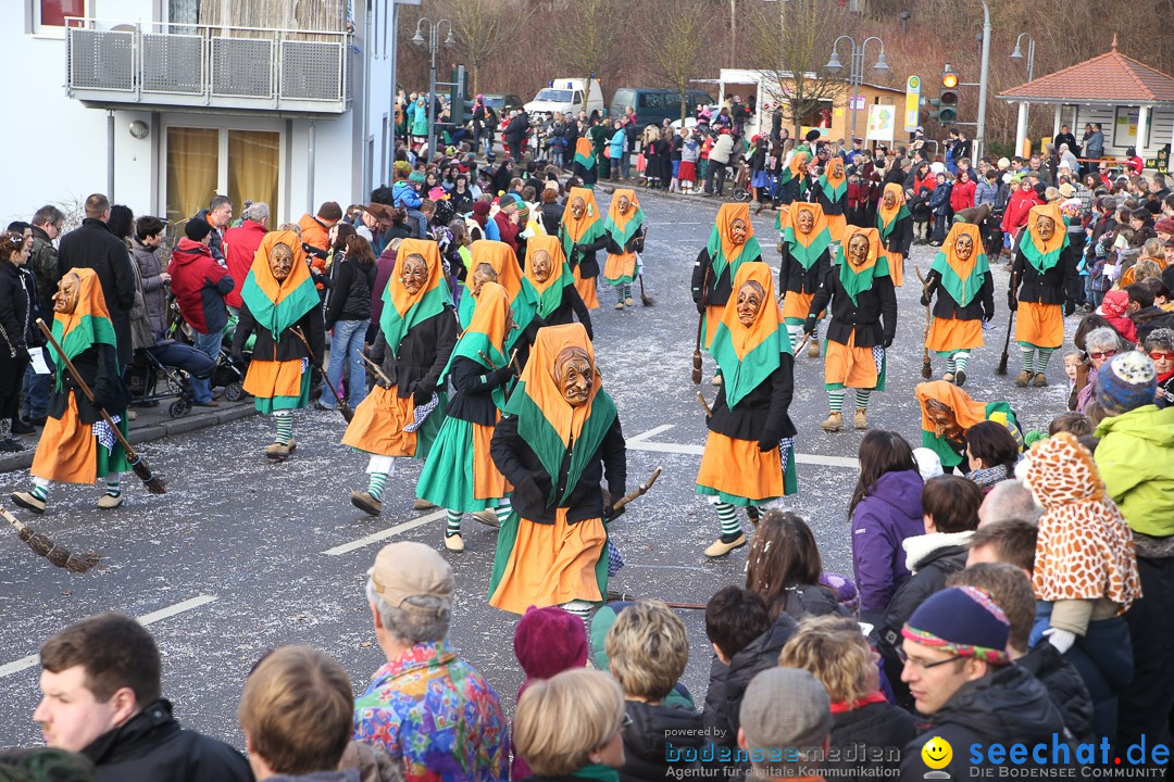 Narrensprung: Hasenweiler am Bodensee, 12.01.2014