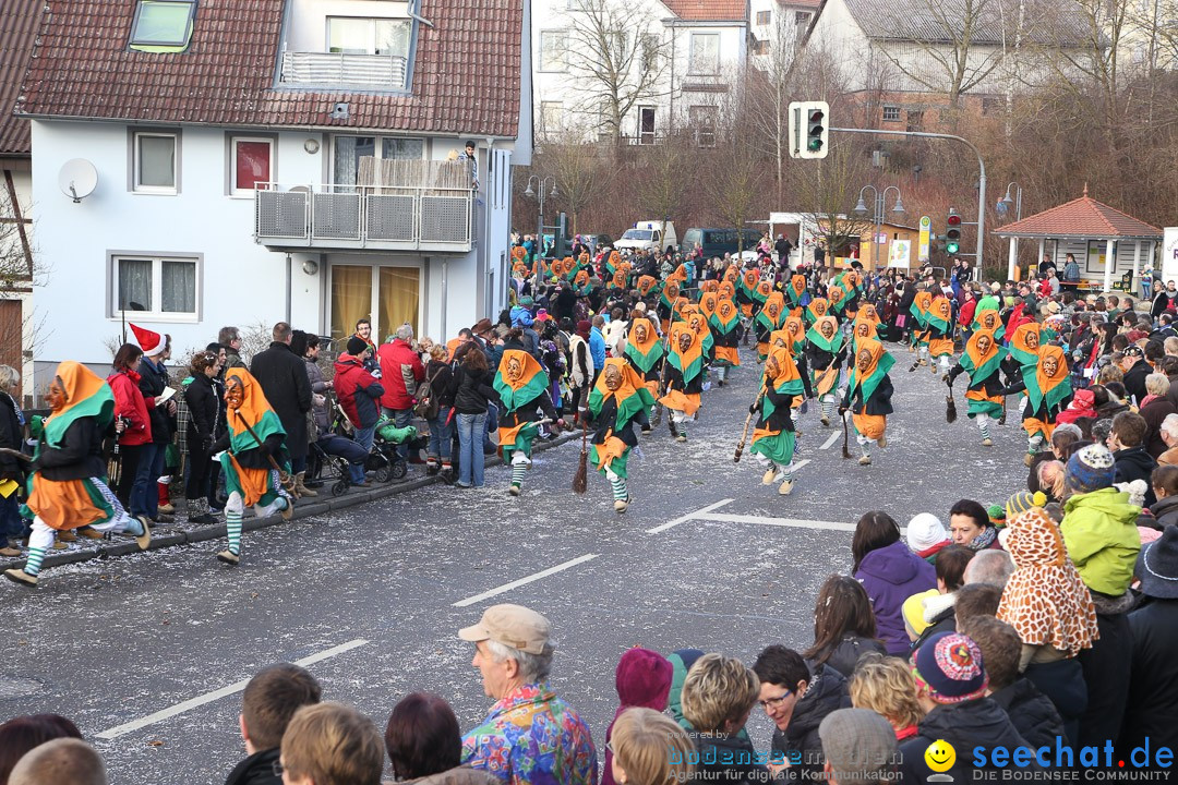 Narrensprung: Hasenweiler am Bodensee, 12.01.2014