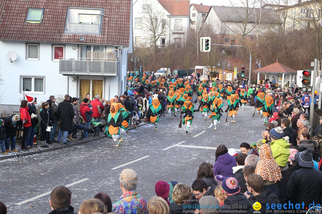 Narrensprung: Hasenweiler am Bodensee, 12.01.2014