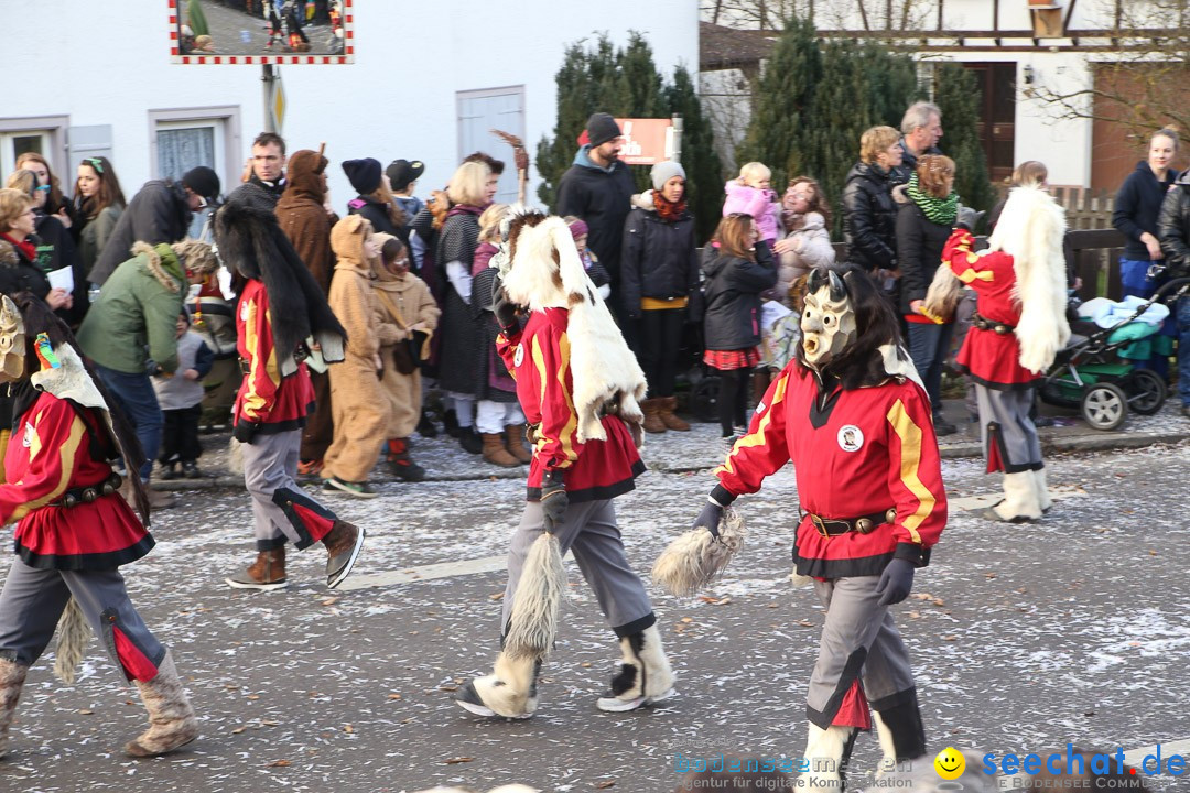 Narrensprung: Hasenweiler am Bodensee, 12.01.2014