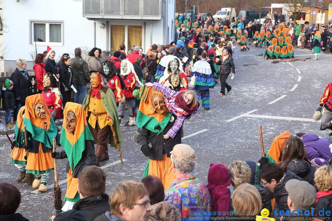 Narrensprung: Hasenweiler am Bodensee, 12.01.2014