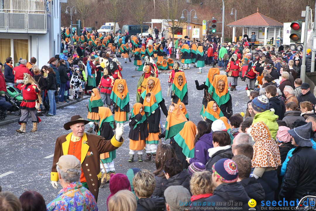 Narrensprung: Hasenweiler am Bodensee, 12.01.2014