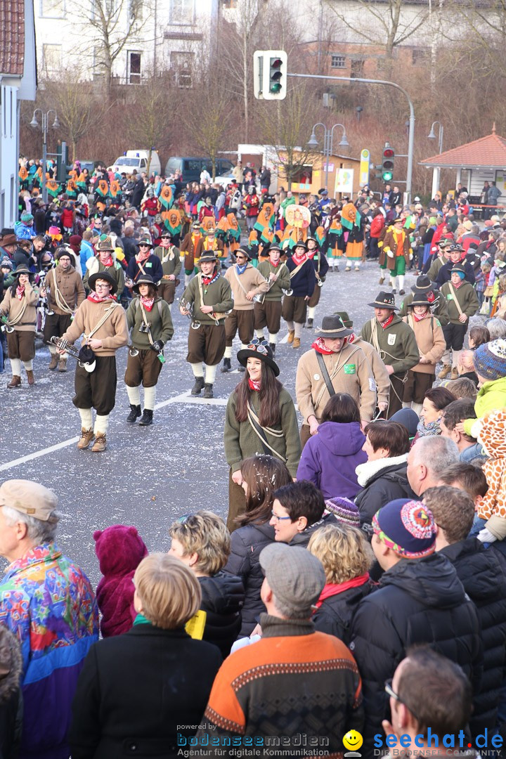 Narrensprung: Hasenweiler am Bodensee, 12.01.2014