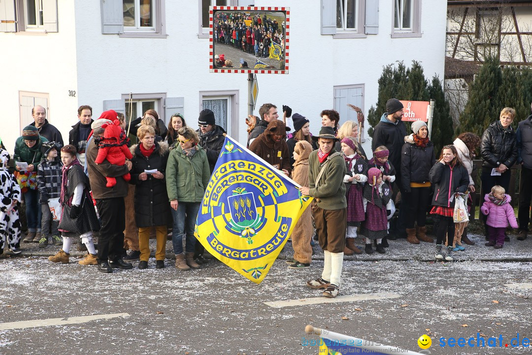 Narrensprung: Hasenweiler am Bodensee, 12.01.2014