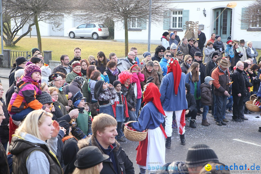 Narrensprung: Hasenweiler am Bodensee, 12.01.2014