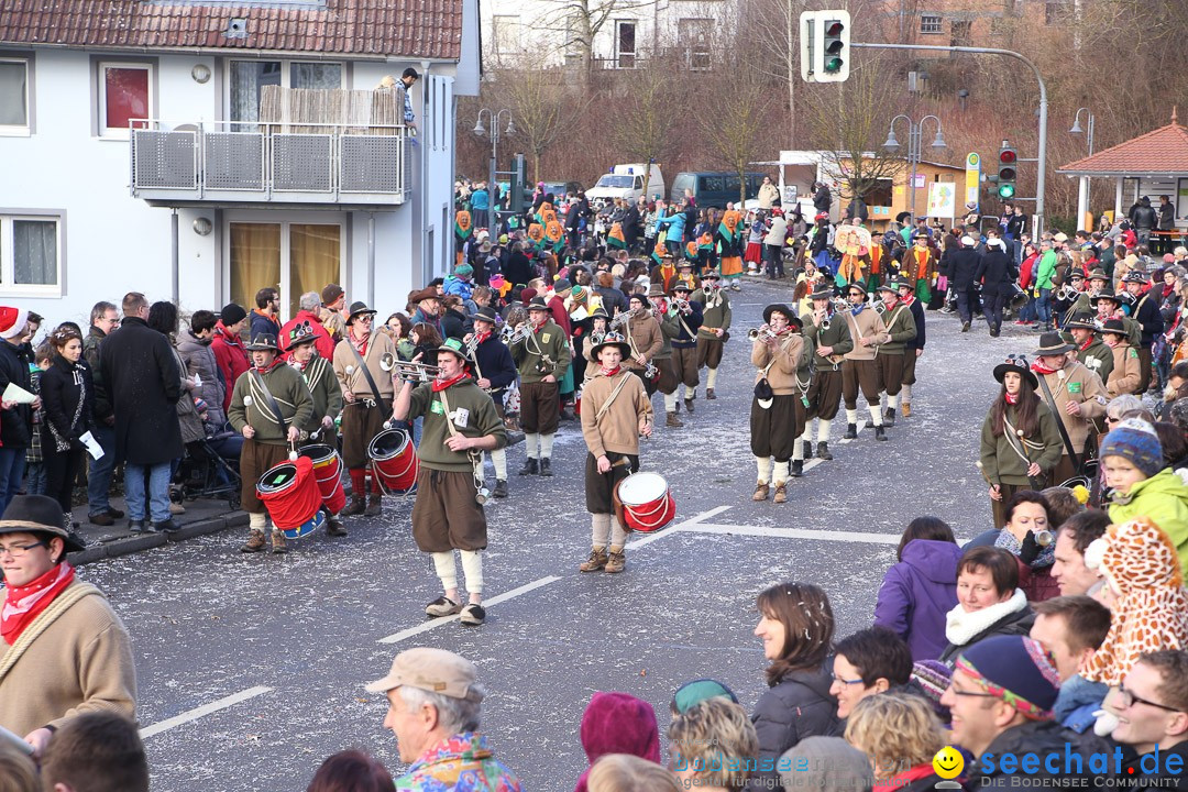 Narrensprung: Hasenweiler am Bodensee, 12.01.2014