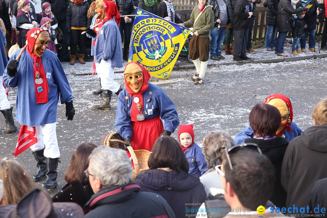 Narrensprung: Hasenweiler am Bodensee, 12.01.2014