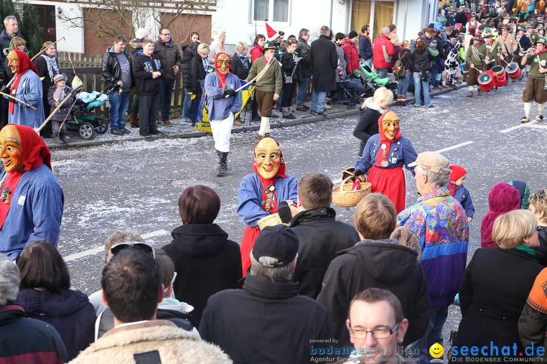 Narrensprung: Hasenweiler am Bodensee, 12.01.2014