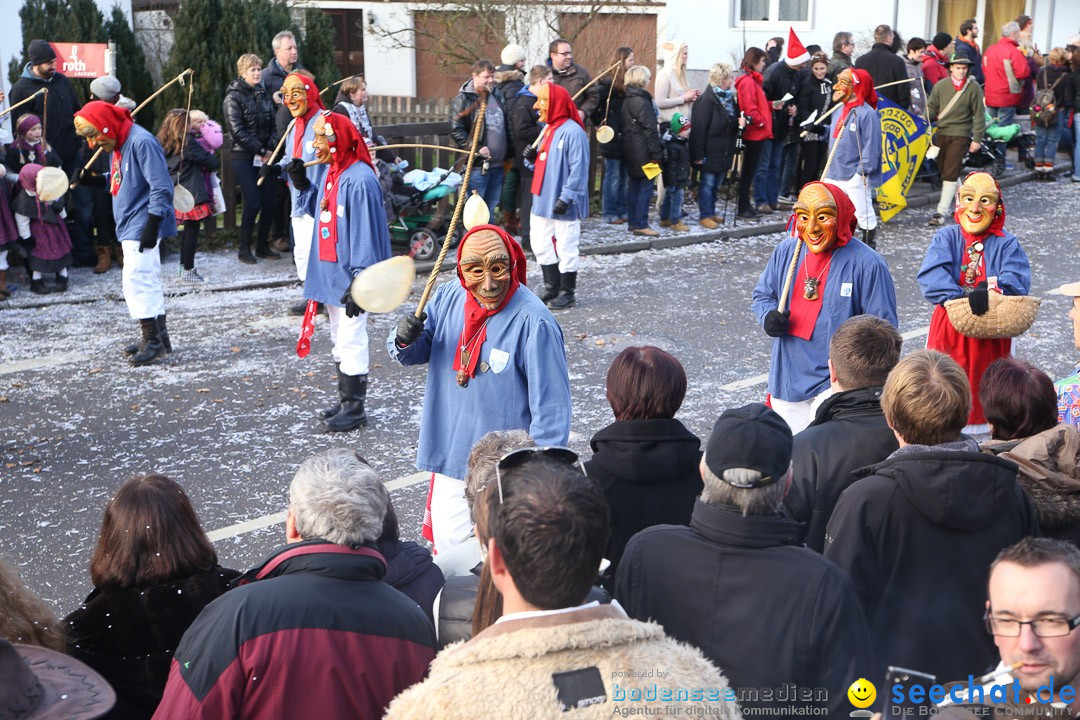 Narrensprung: Hasenweiler am Bodensee, 12.01.2014