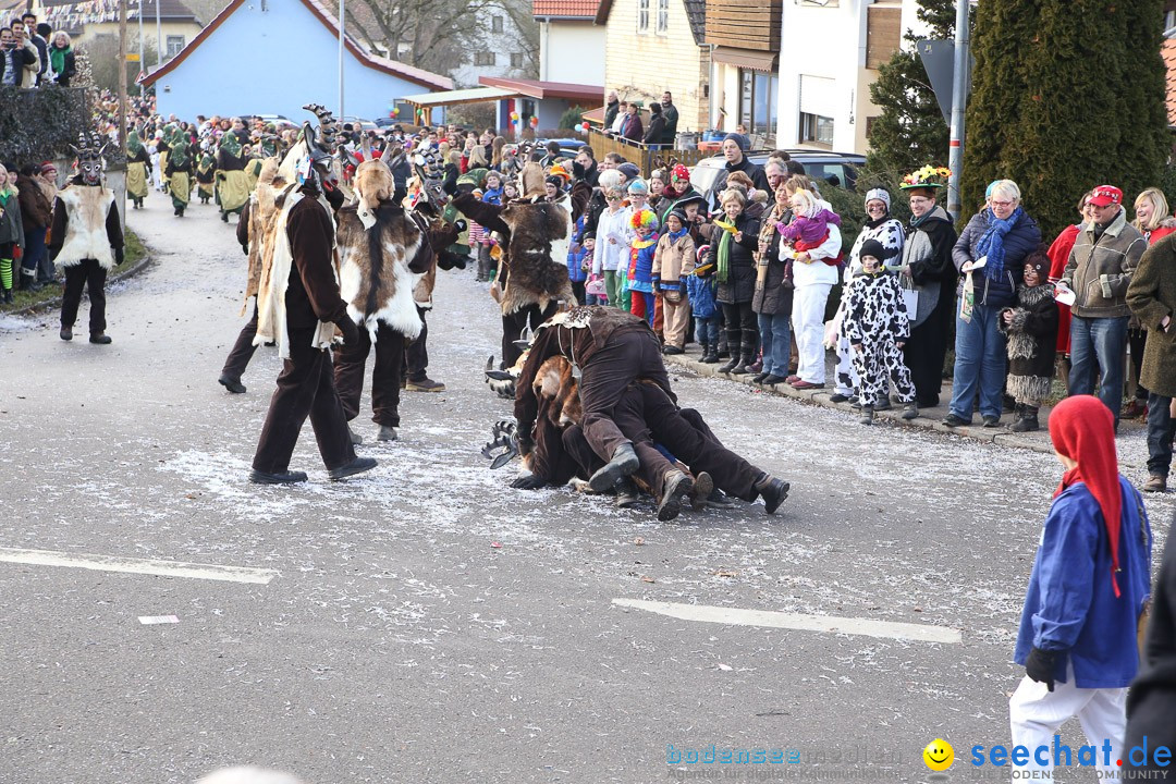 Narrensprung: Hasenweiler am Bodensee, 12.01.2014