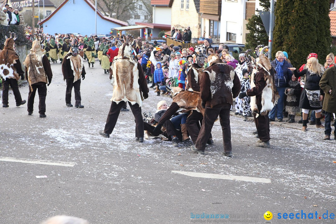 Narrensprung: Hasenweiler am Bodensee, 12.01.2014