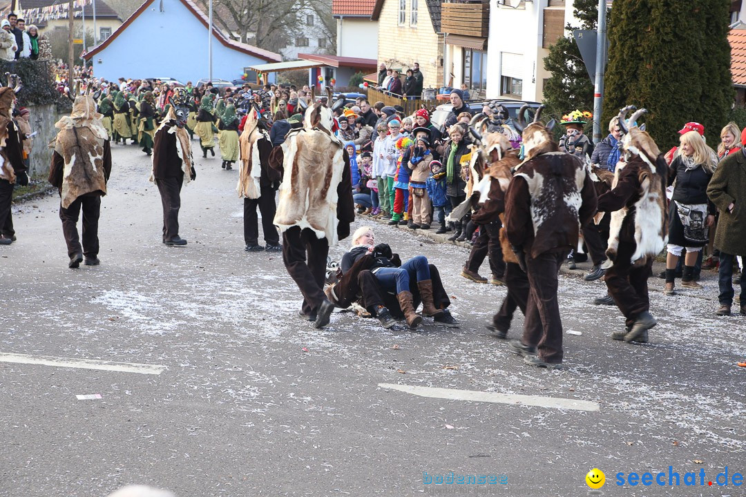 Narrensprung: Hasenweiler am Bodensee, 12.01.2014